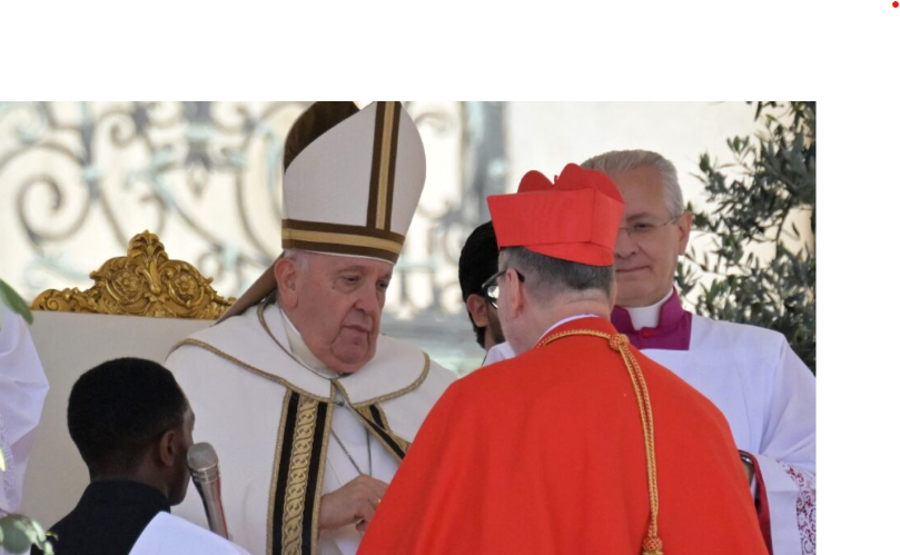 Papa Francisco Nombra a 21 nuevos cardenales