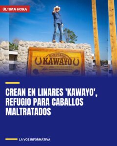 Crean en Linares ‘Kawayo’, refugio para caballos maltratados