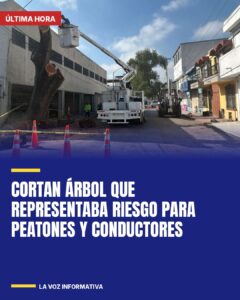 Cortan árbol que representaba riesgo para peatones y conductores