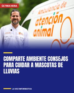 Comparte Ambiente consejos para cuidar a mascotas de lluvias
