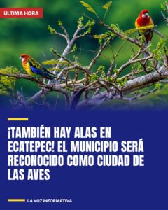 ¡También hay alas en Ecatepec! El municipio será reconocido como Ciudad de las Aves